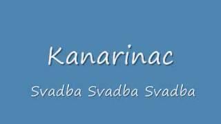 Kanarinac   Svadba Svadba