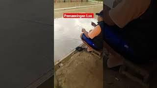 Lomba mancing ikan mas harian #shorts #mancing