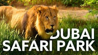 Dubai Safari Park Full / number 1 zoo / Must visit Place in dubai [rathzandsowz]