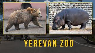 Yerevan ZOO(Երևանի կենդանաբանական այգի)     باغ وحش ایروان