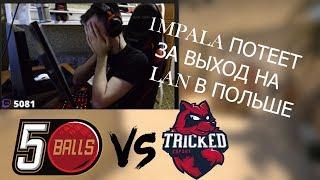 1MPALA ИГРАЕТ ЗА ВЫХОД НА LAN В ПОЛЬШЕ! 5balls vs Tricked лучшие моменты