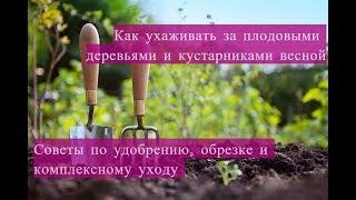 Весенние работы: #1 Как ухаживать за плодовыми деревьями и кустарниками