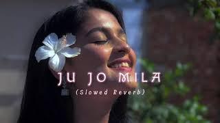 Tu jo mila Lofi music (Slowed Reverb)~ Lofi chill , relex , study~Lofi lyrics station