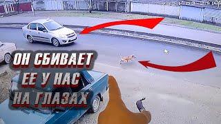 На Герду наезжает таксисит Все ли обошлось?