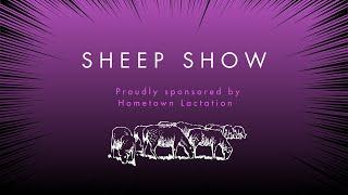 2024 Clay County 4-H Sheep Show