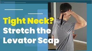 Release Tight Neck! Levator Scapulae Stretch