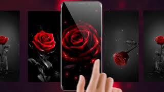 Red Rose Live Wallpapers for android!