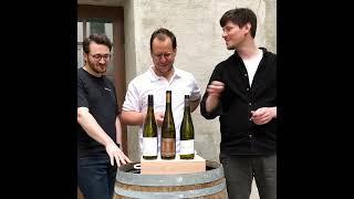 trinkreif Verkostungsnotizen Rieslinge Kabinett 2021