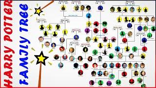 The Complete Harry Potter Family Tree