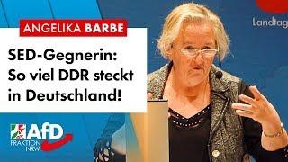 SED-Gegnerin warnt vor Sozialismusgefahr! – Angelika Barbe