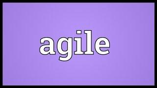 Agile Meaning