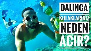 Dalınca Kulaklarımız Neden Acır? | Kulak Eşitleme