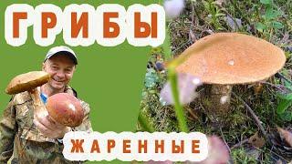 Жареные Грибы  [ Подосиновики ]  Очень вкусно