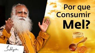 Consuma Mel para Aprimorar sua Força, Mente e Energia | Sadhguru Português