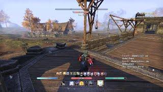 ESO PvP |Saviour of Elsweyr Quester Salskea conns a Mag sorc PvP build and Picks them out one by one