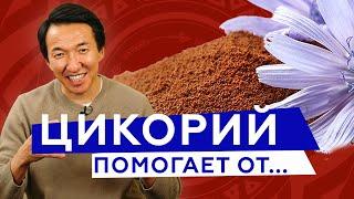 Цикорий - чудо-продукт, который тебя сильно удивит // #чжудши #тибетскаямедицина #тибет