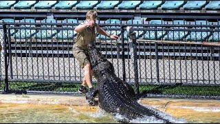 Robert Irwin's Close Call With Monty The Crocodile | Australia Zoo | Croc Show