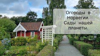 Мы-дети Земли. Норвежские дачи, огороды, наш огород и сады друзей с Ютуба 