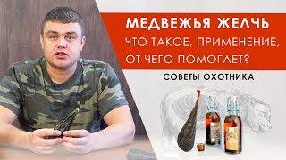 Медвежья желчь применение, лечебные свойства, от чего помогает? Польза и вред. Настойка от охотника