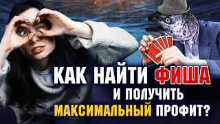 Как в покере распознать фиша и получить с него максимальный профит?