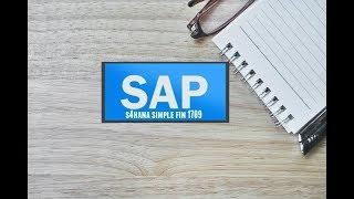 SAP S4 HANA Simple Finance 1709 Sample Videos