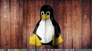 How To Record Your Screen in Linux Mint