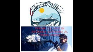 Traina col vivo in solitaria e in notturna al Tonno Rosso (Red Tuna Live Bait Trolling)