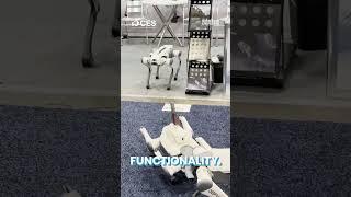 Deep Robotics' Robot Dog at CES 2025