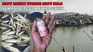 SATU MENIT SATU KILO‼️UMPAN DASARAN IKAN BELANAK PALING JAHAT