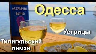 ПОЕХАЛИ НА УСТРИЦЫ!!!  Тилигульский лиман, устрицы в "Ойстервиль", ОДЕССА.