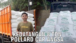 Kedatangan 8 Ton pollard Cap Angsa