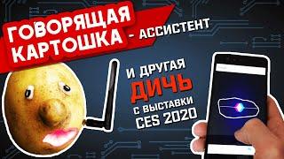 ГОВОРЯЩАЯ КАРТОШКА - ГОЛОСОВОЙ АССИСТЕНТ и другая ДИЧЬ с выставки CES 2020