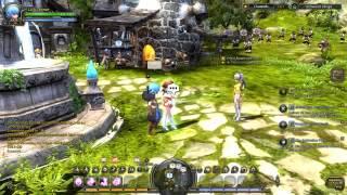 Dragon Nest - Why?