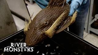 The STRANGEST and MOST BIZARRE | River Monsters