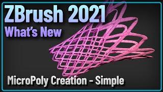 045 ZBrush 2021 Custom MicroPoly Creation Simple Version