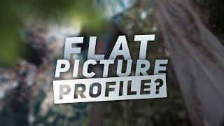 Do you NEED to be shooting in a FLAT PICTURE PROFILE?