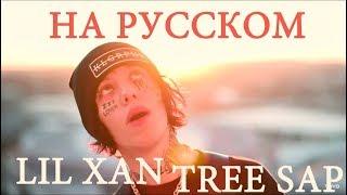 LIL XAN - TREE SAP ПЕРЕВОД// LIL XAN-TREE SAP//О ЧЕМ ЧИТАЕТ LIL XAN-TREE SAP ПЕРЕВОД НА РУССКОМ