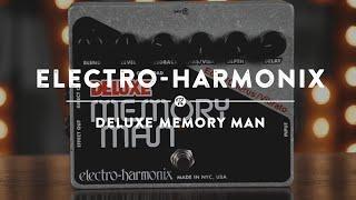 Electro-Harmonix Deluxe Memory Man Delay | Reverb Demo Video