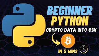 Using Python to Fetch API Data into CSV