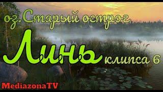 Русская Рыбалка 4 оз Старый острог Линь 17 05 23