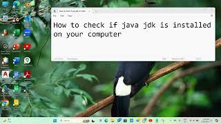 How to check if JAVA JDK is installed on your computer on any windows 2024