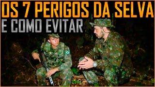 7 Perigos da Selva e Como Evitar e Sobreviver (BIS de Manaus)