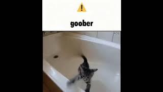 ️ goober