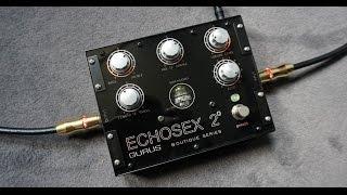 Gurus Amps - Echosex 2 - BINSON ECHOREC TUBE DELAY PEDAL