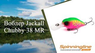 Воблер Jackall Chubby  38 MR