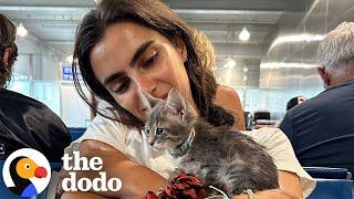 Woman Swims Into Busy Port To Rescue Drowning Kitten | The Dodo