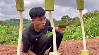 Thử Ăn Lõi Chuối Chấm Muối Ớt Siêu Cay | With chili salt