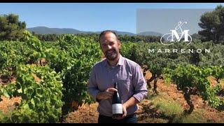 Cuvée Grand Marrenon Rouge : Iconic wine from the Luberon...