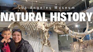 Everything You Need to Know About The Los Angeles Natural History Museum #dinosaur #dinosaurmuseum