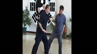 Master Sam Masich teaches Yang Taiji Applications form